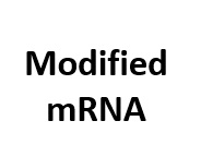 Modified RNA